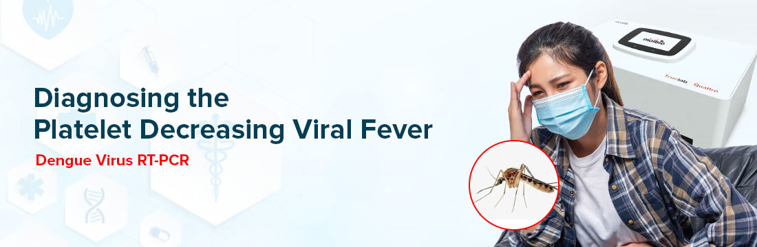 Dengue Virus Real Time Polymerase Chain Reaction (DENV RT-PCR)